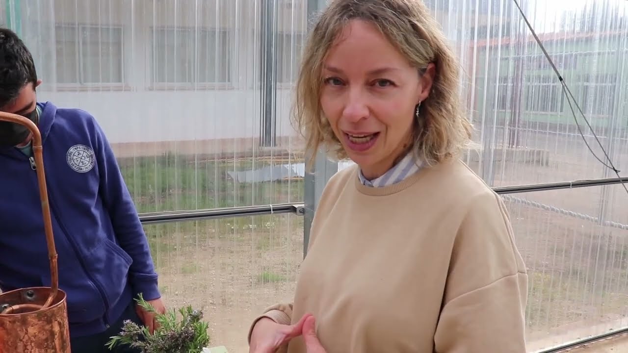 Taller Actividades auxiliares de Viveros, Jardines y Centros de Jardinería