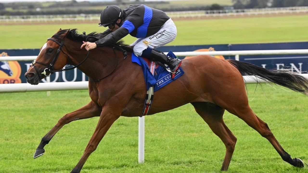 QUEEN OF HAWAII continues progression with smooth Curragh win