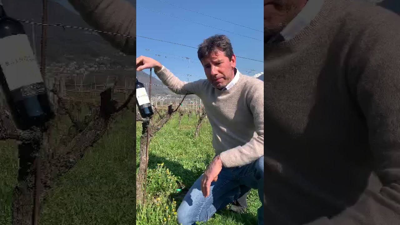 Aldo Rainoldi, Valtellina Superiore Sassella