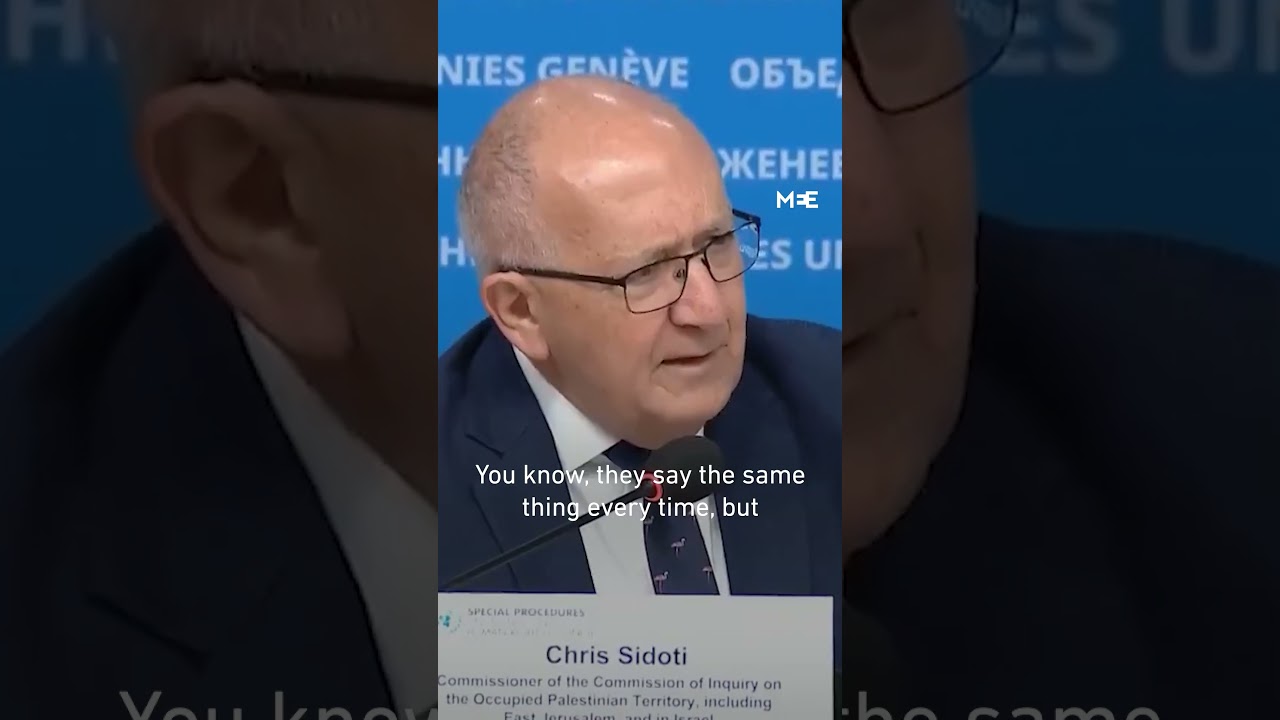 Chris Sidoti mocks Israeli foreign ministry after UN genocide findings