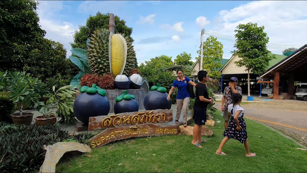 Suphattra Land Rayong - DURIAN and Fruits Buffet