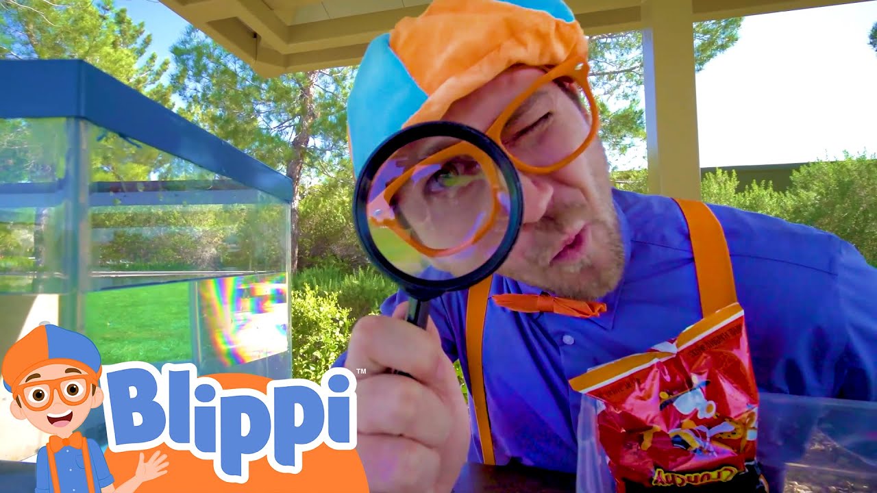 Sink or Float with Blippi | Fun Science Experiment for Kids | Educational Videos For Kids