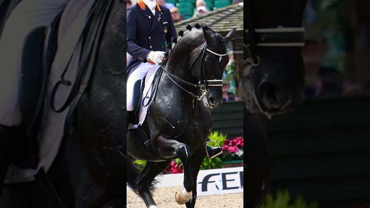 Famous horse legends