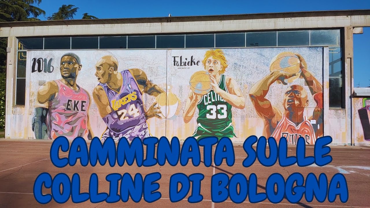 Lungo il fiume da San Lazzaro a Rastignano (BO)
