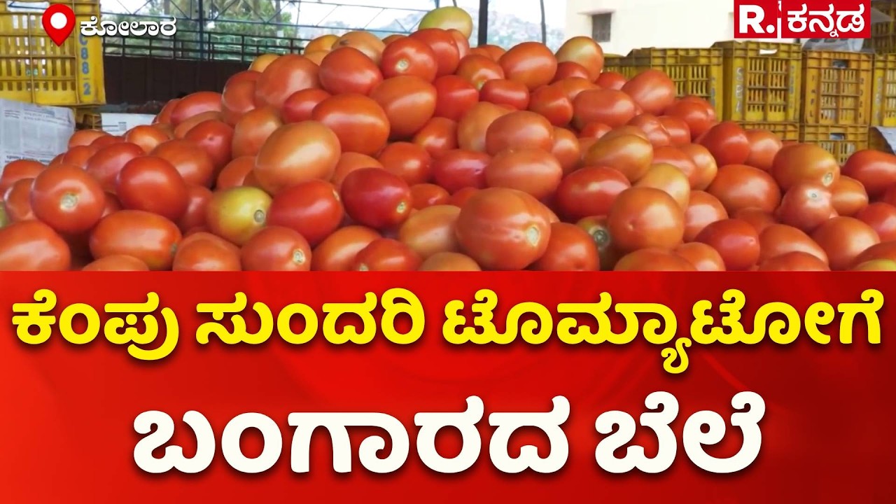 Tomato Price Hike : ಕೆಂಪು ಸುಂದರಿ ಟೊಮ್ಯಾಟೋಗೆ ಬಂಗಾರದ ಬೆಲೆ | Kolar APMC Market