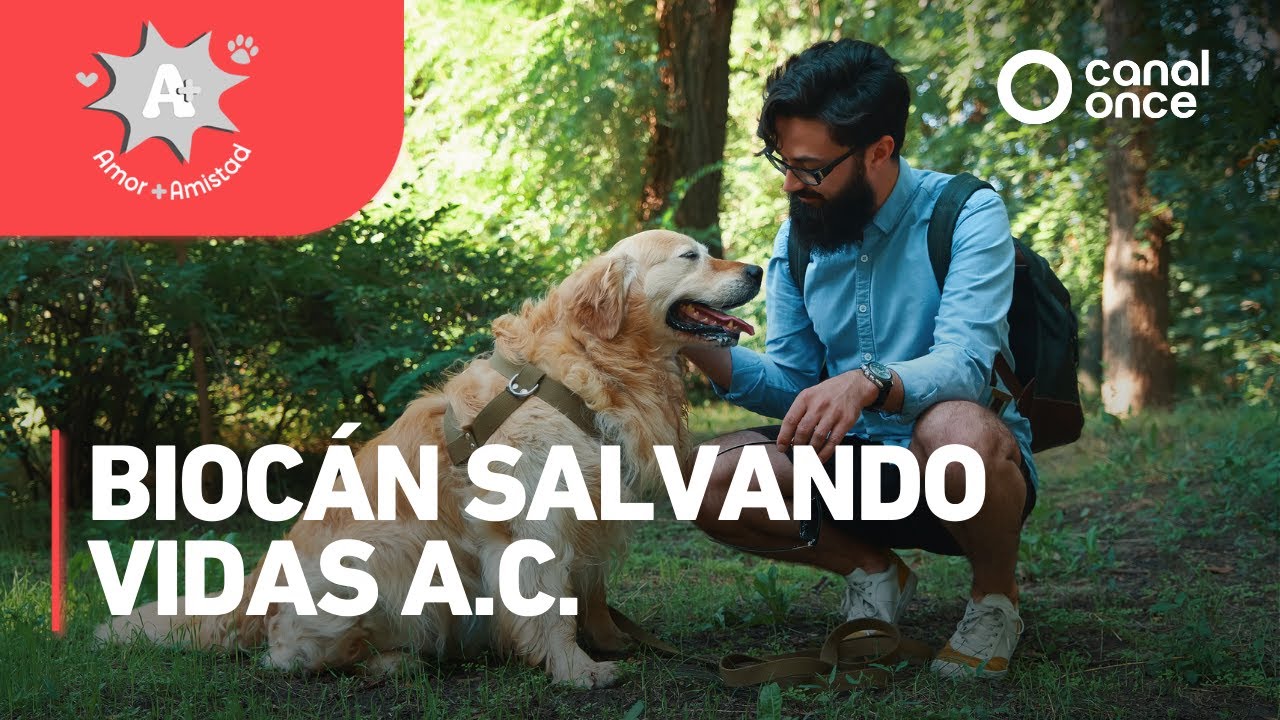 A + A - Biocán Salvando Vidas A.C. (10/05/2025)