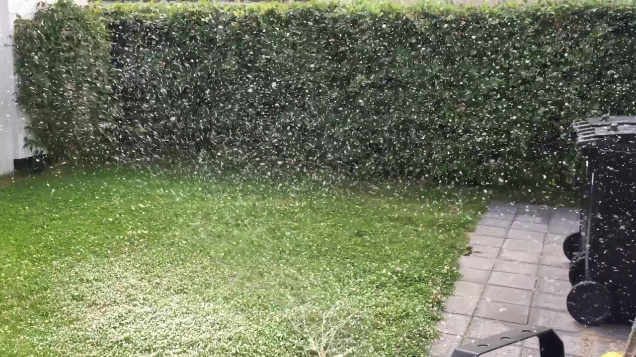 ADJ VF Snow Flurry HO - Snemaskine 1250w Demo
