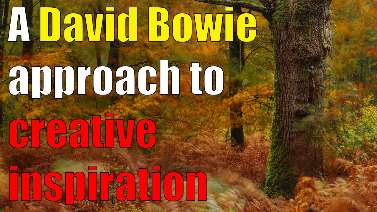 A woodland walk- let perfectionism go and freedom in.