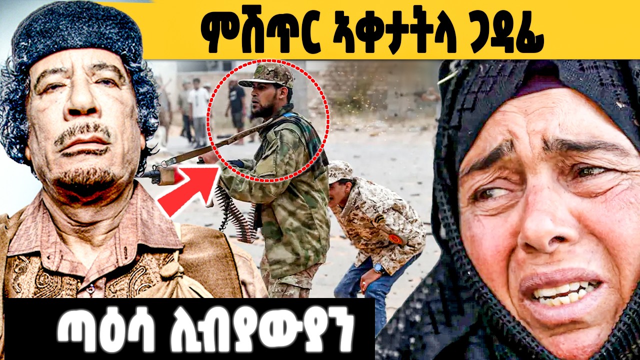 ጣዕሳ ሊብያውያን 💔 ዘይተሰምዑ ምሽጥራት ኣቀታትላ ጋዳፊ 🔥| Betna Info. ቤትና |