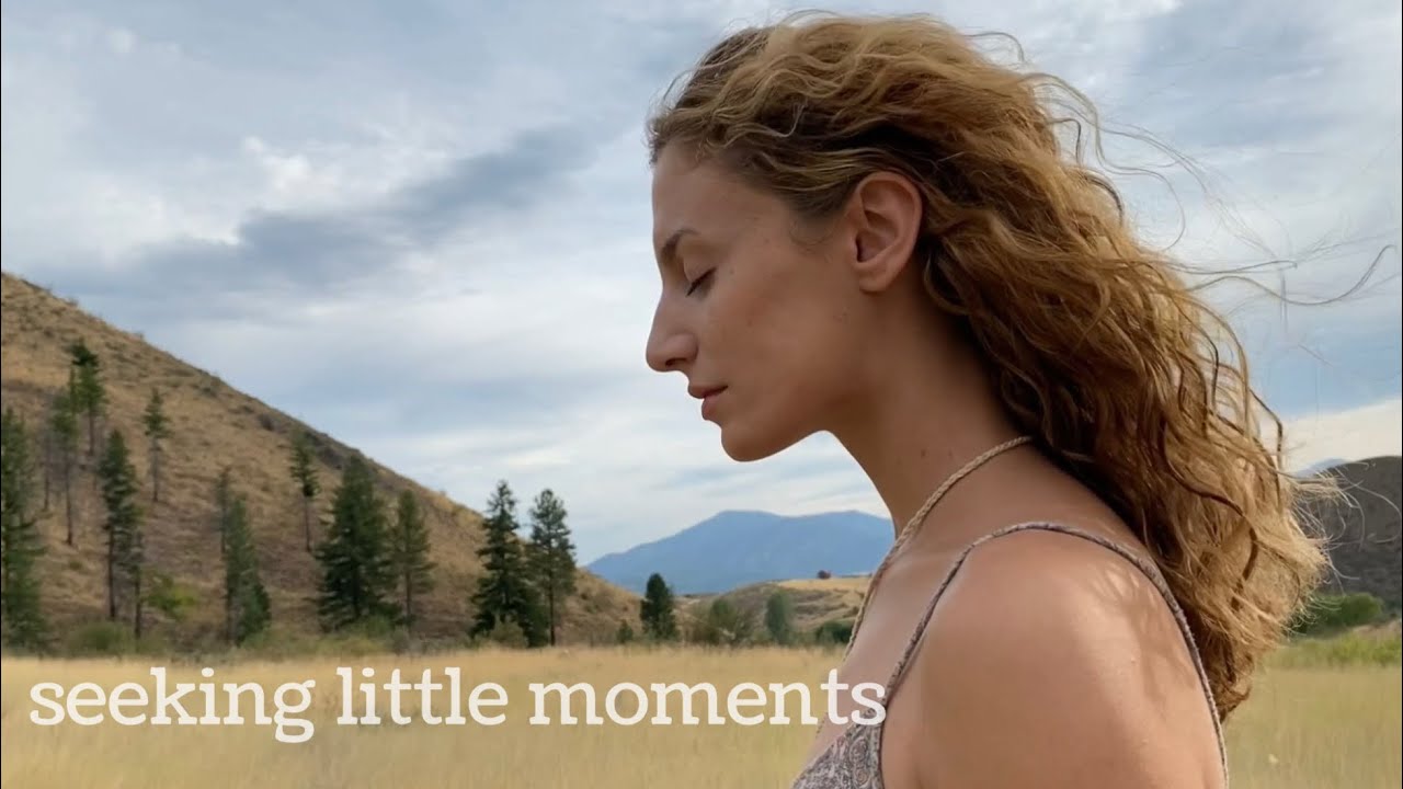 the peace of small moments - cottage life
