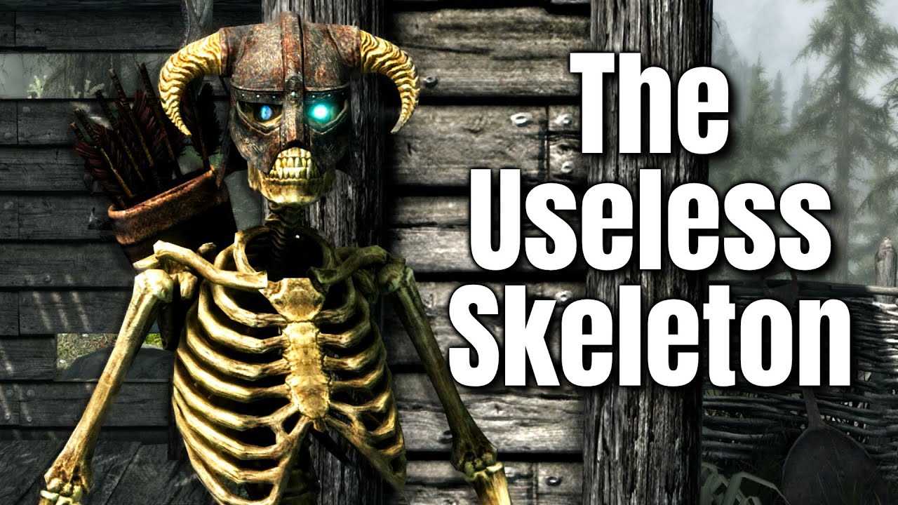 Finally...Skyrim's Worst Build