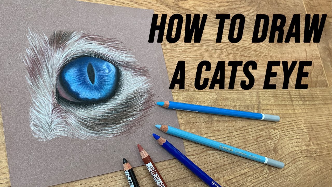 How to draw a cats eye using pastel pencils - on pastelmat paper