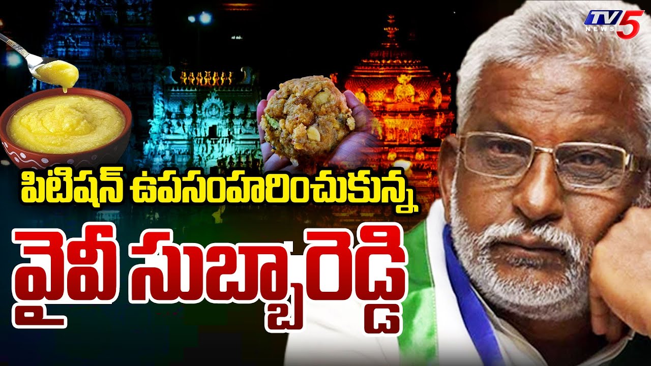 కల్తీ నెయ్యి కేసు..YV Subba Reddy Withdraws Petition | Adulterated Ghee Case Investigation | TV5