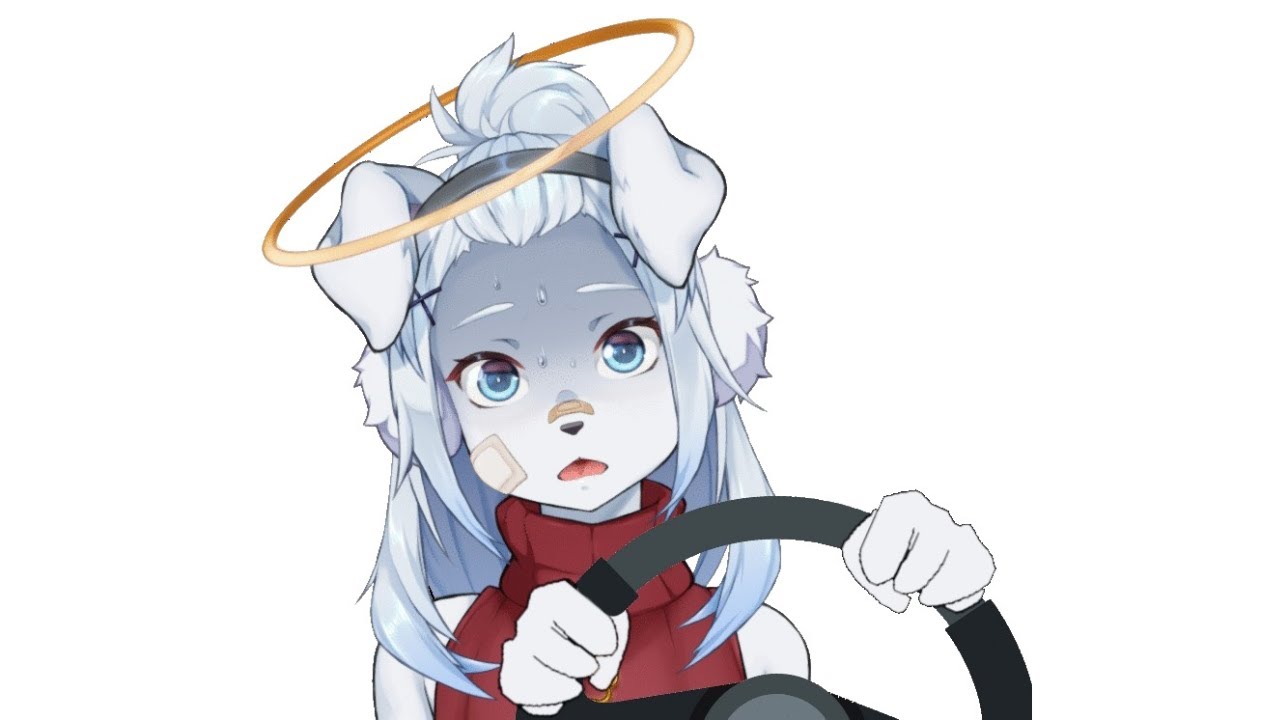 TAIGA GOES FOR A DRIVE