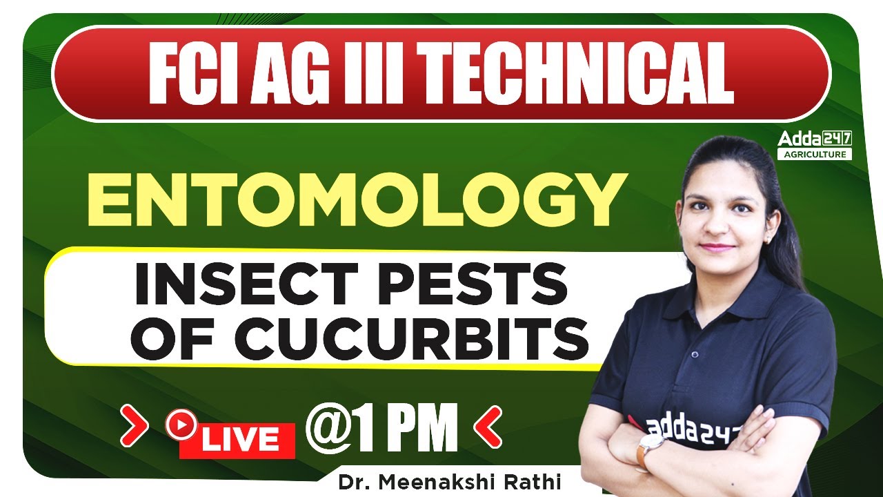 FCI AG 3 Technical | Entomology by Dr. Meenakshi Rathi | Insect Pests of Cucurbits