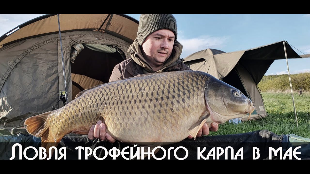 РЫБАЛКА НА ТРОФЕЙНОГО КАРПА! НОВЫЙ БИГФИШ!