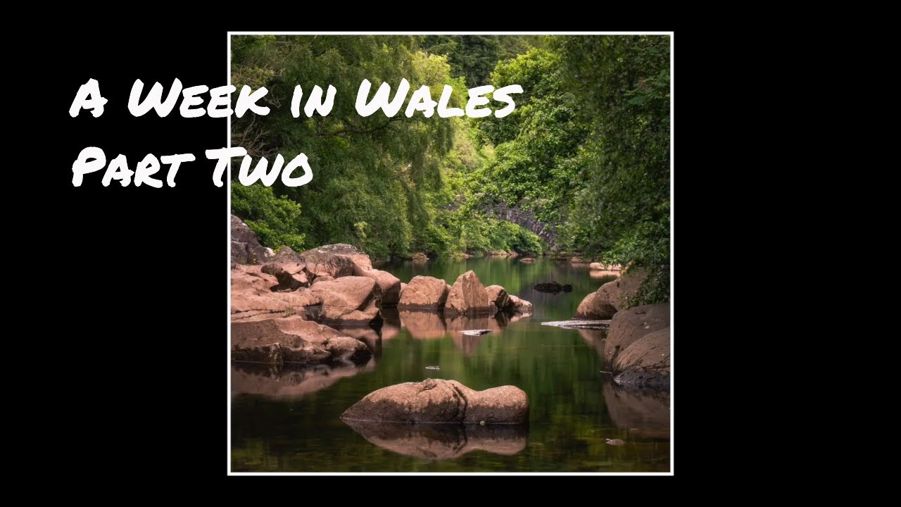 Photography in Wales -  Part 2 - Elan Valley, Mwnt Bay, Radnor Forest - Wildlife & Landscape