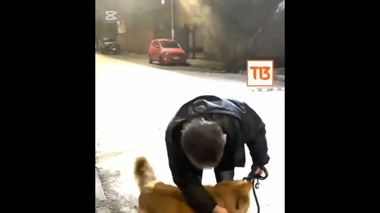 #hayvansever