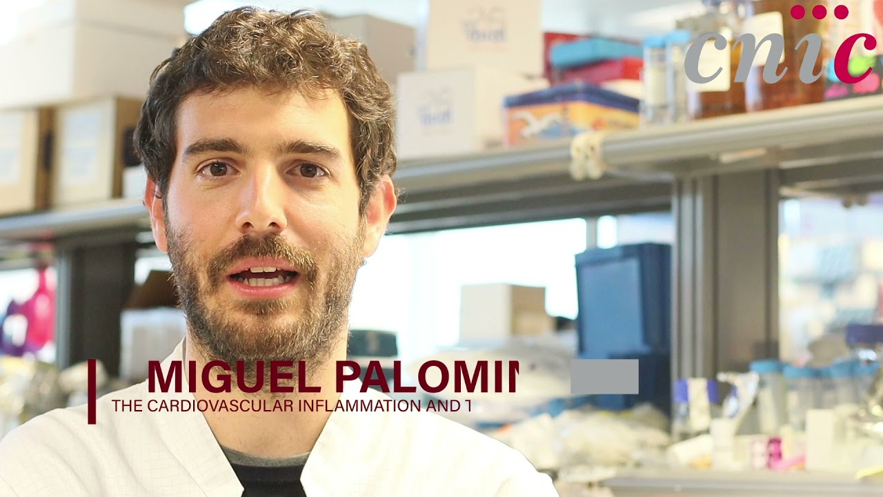 Nature - Spanish scientists discover a cell behavior pattern that predicts cardiovascular disease
