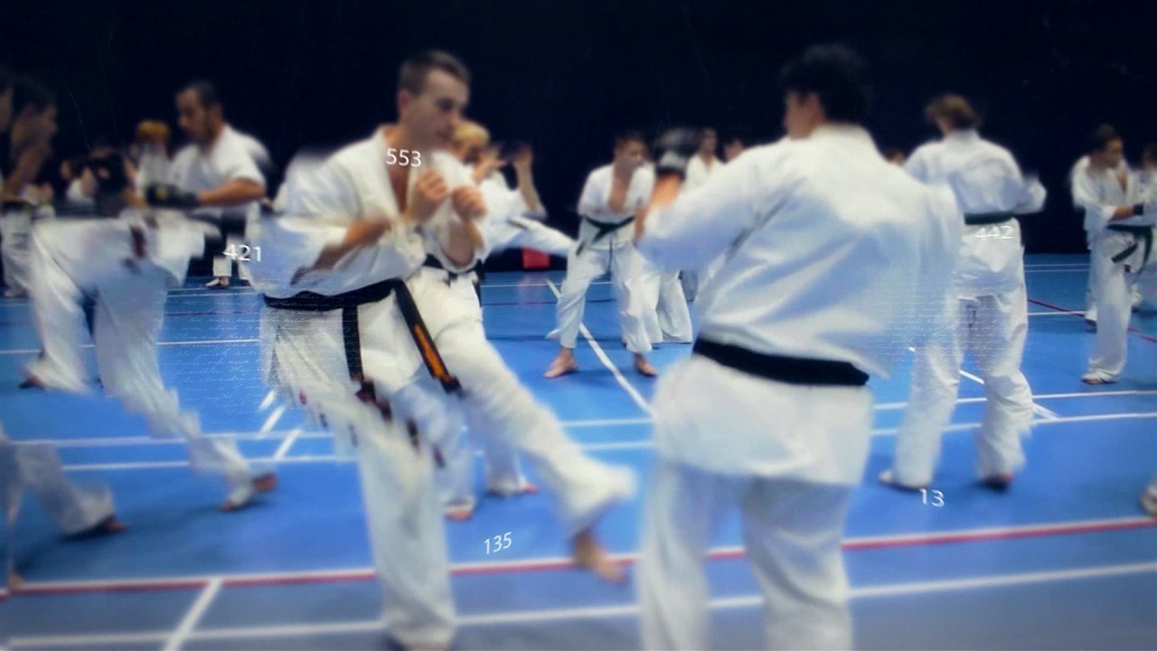 Seminarium Shinkyokushin z Sensei Emi Shoguchi