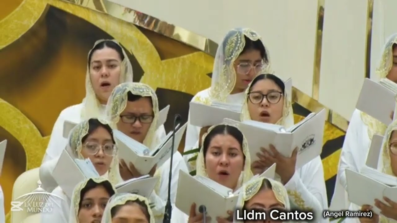 Lldm Cuando Oí su Voz. 8 Dic 2024