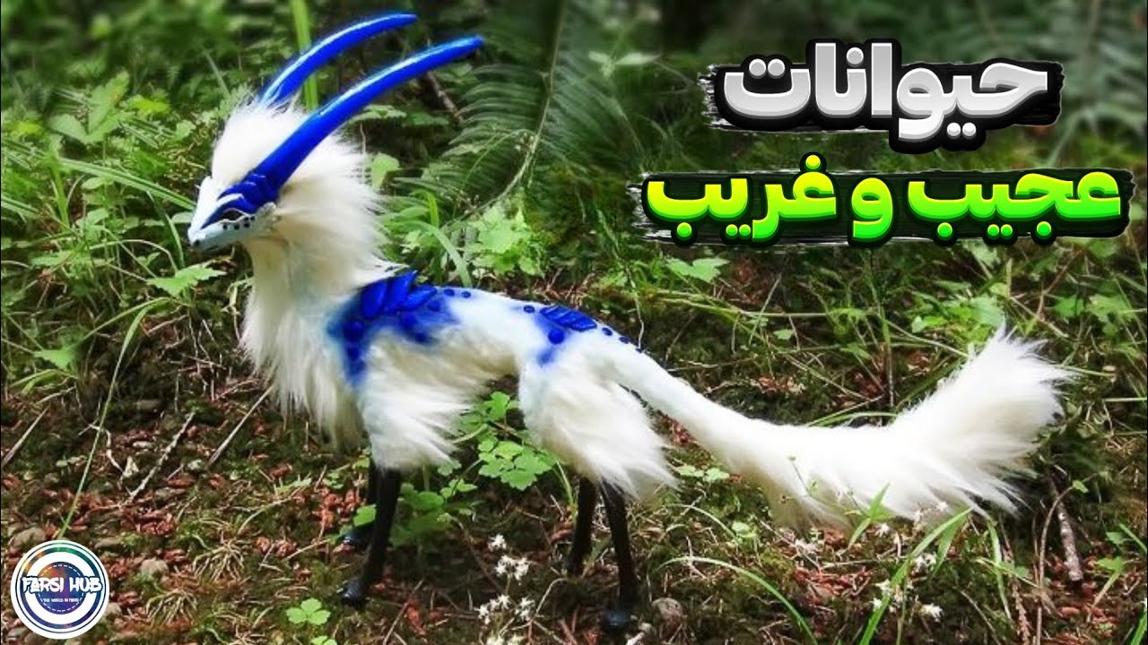عجیب‌ترین حیوانات جهان که تا حالا ندیدید!