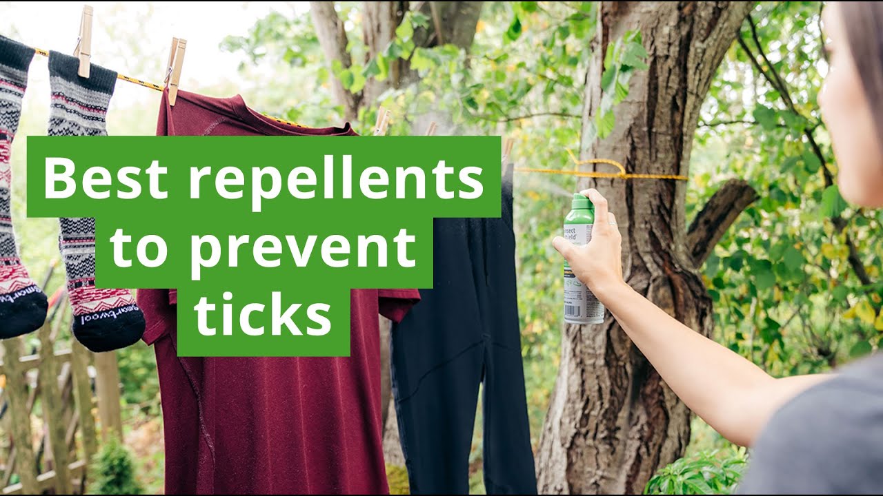 Best Tick Repellents | How Permethrin Can Help Repel Ticks and Prevent Tick Bites