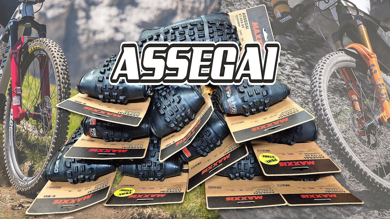 Maxxis Assegai: EXO+, DD o DH? Tutte le versioni 27.5 e 29