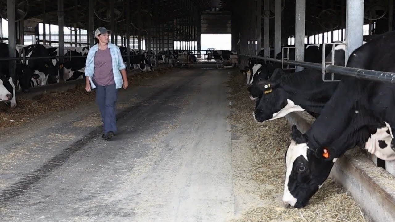 Practical Tips for Beginning Farmers: Create a Business Plan and Grow Intentionally