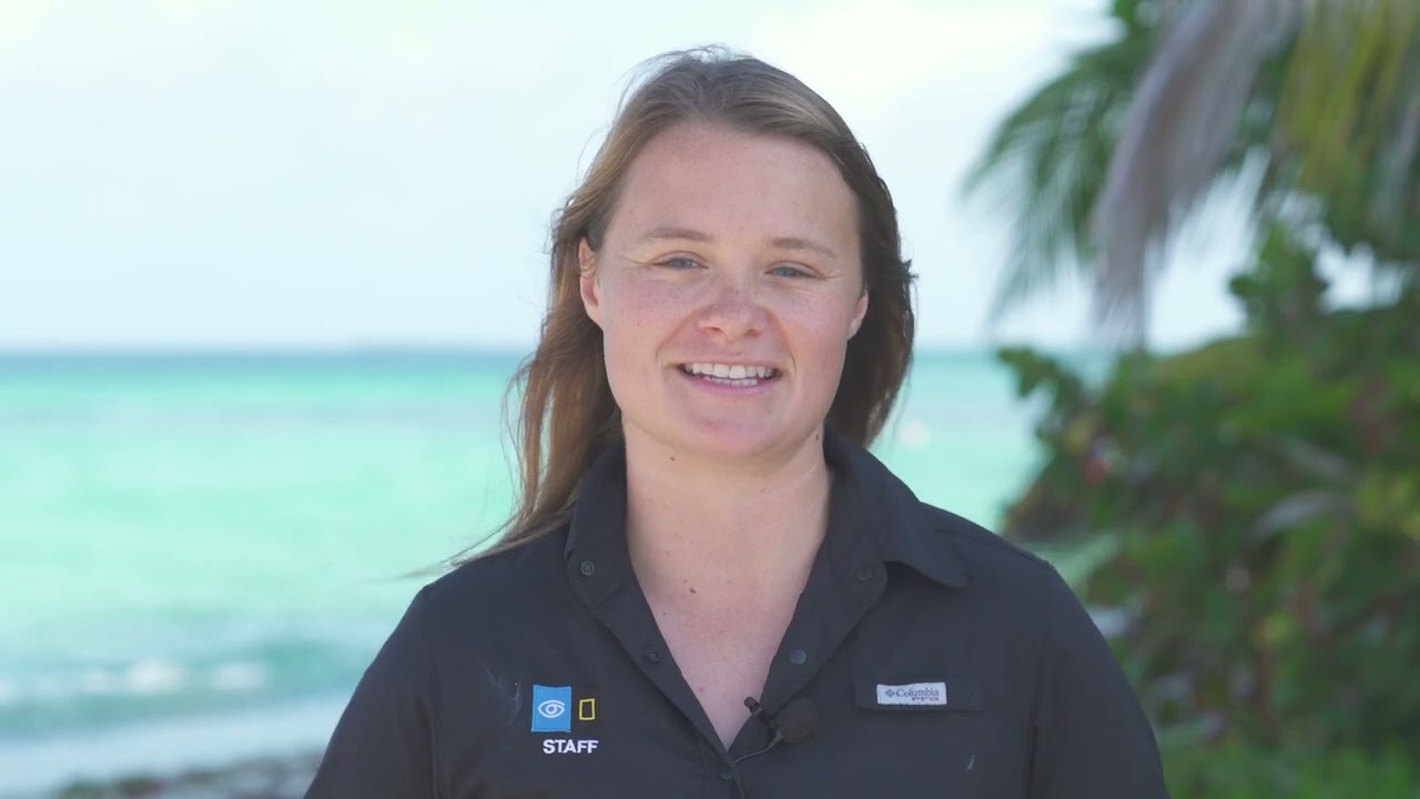 Exploring the Belize Barrier Reef | Lindblad Expeditions