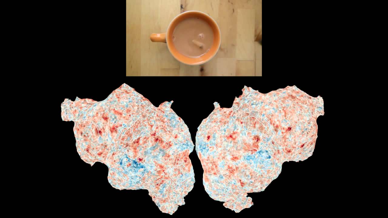Human Brain Activity Elicited By Natural Movies With Sound