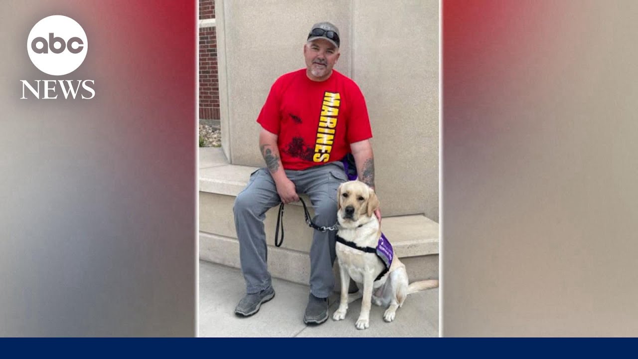 Tommy the service dog saves veteran's life