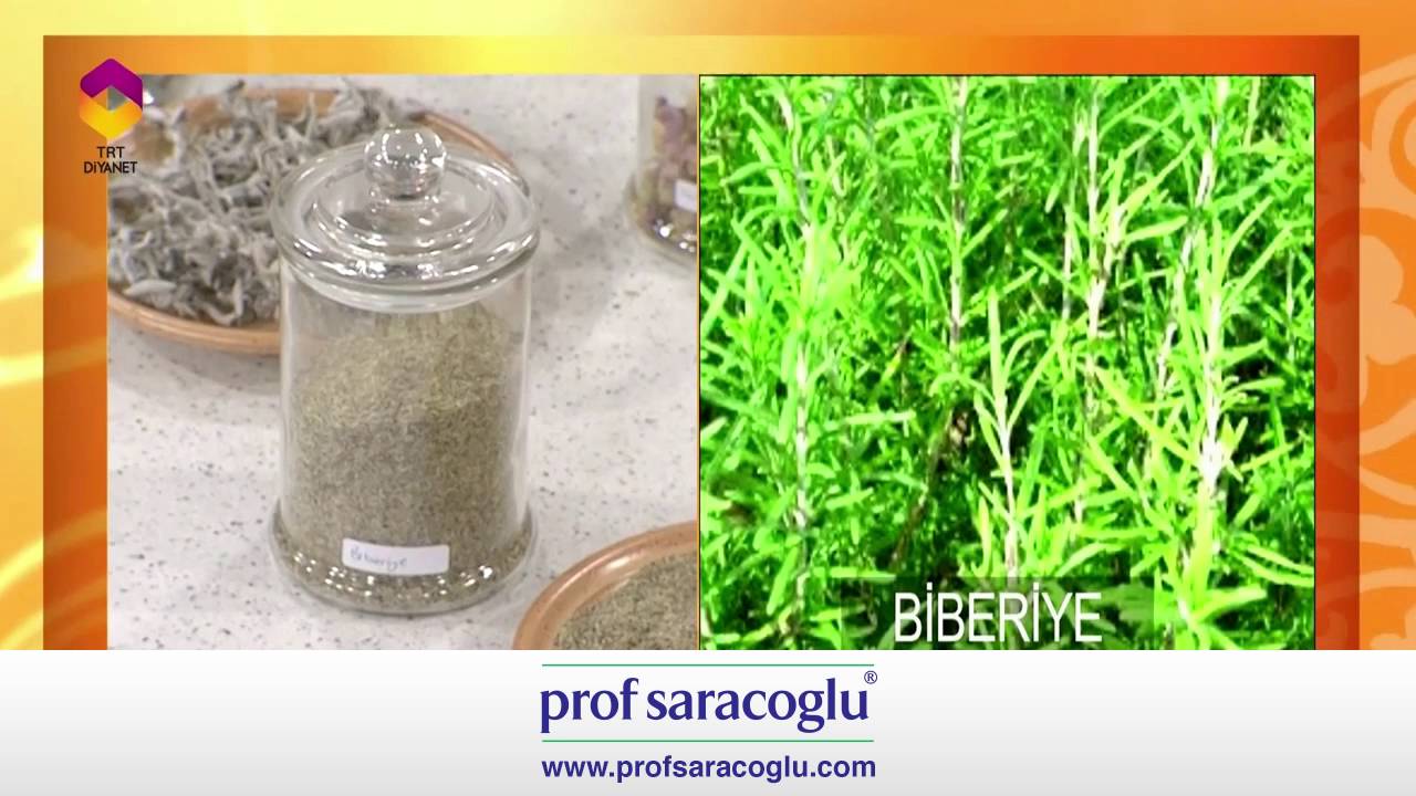 Prof. Saraçoğlu ile Ruh ve Beden Sağlığı: Evimizde Bulunması Gereken 10 Bitki