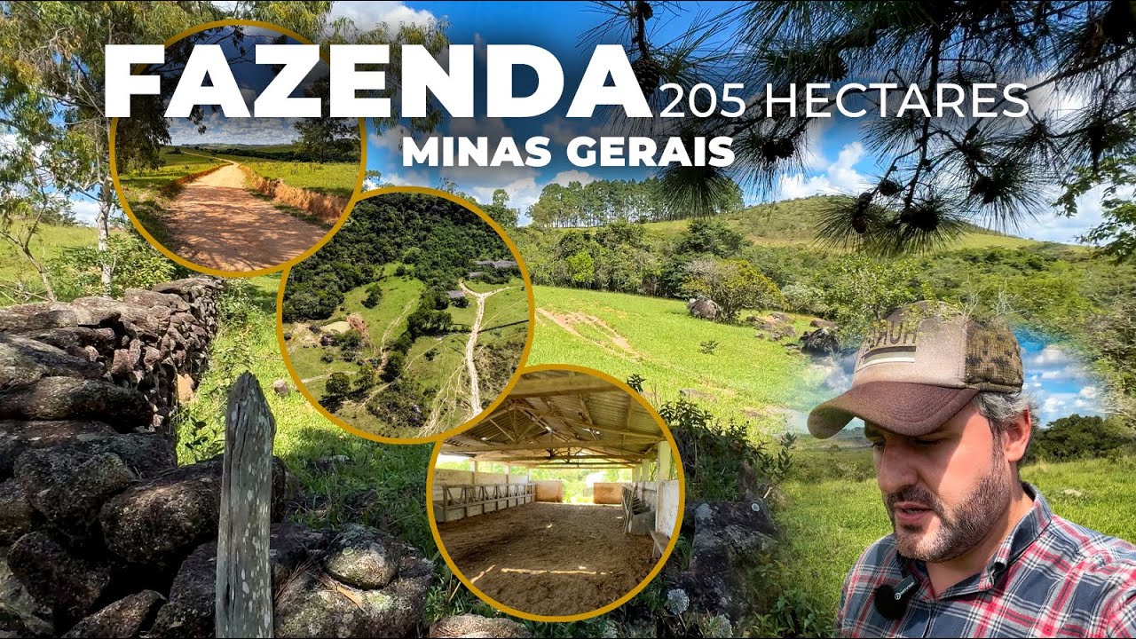 FAZENDA À VENDA | ÓTIMO APROVEITAMENTO, BOA TOPOGRAFIA, FÁCIL IRRIGAÇÃO E EXCELENTE ACESSO