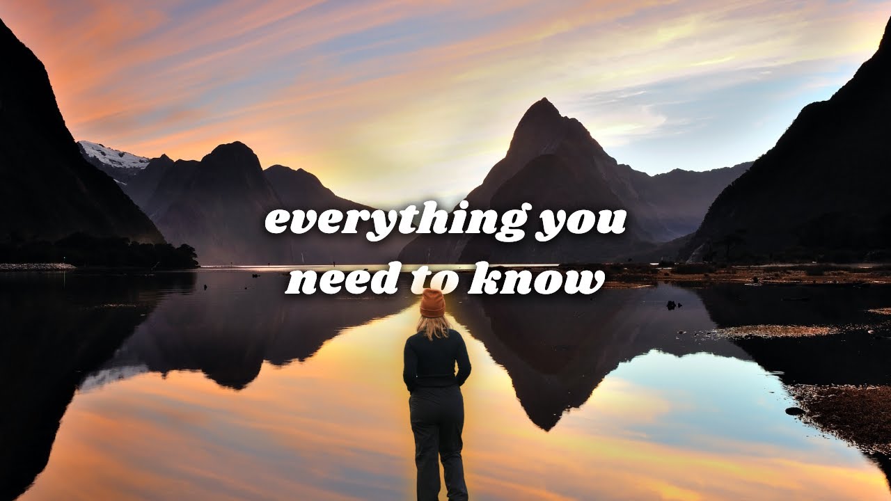 How to travel Milford Sound (tips to save you $$)