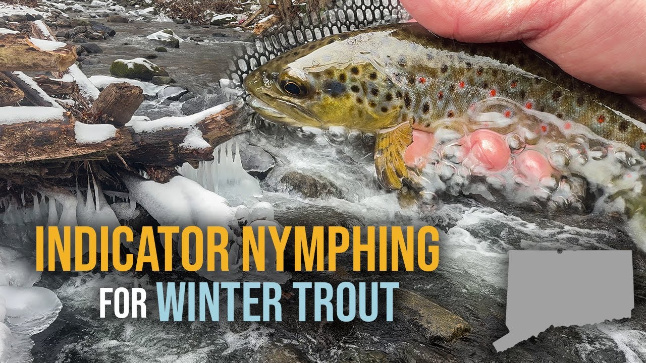 Indicator Nymphing During Winter on a Connecticut Blue Line (Fly Fishing for Wild Trout)