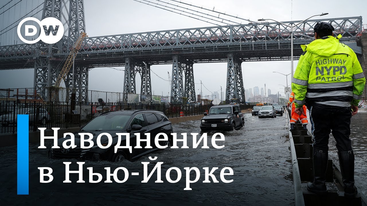 Наводнение в Нью-Йорке: транспорт парализован, морские львы выплыли из вольеров