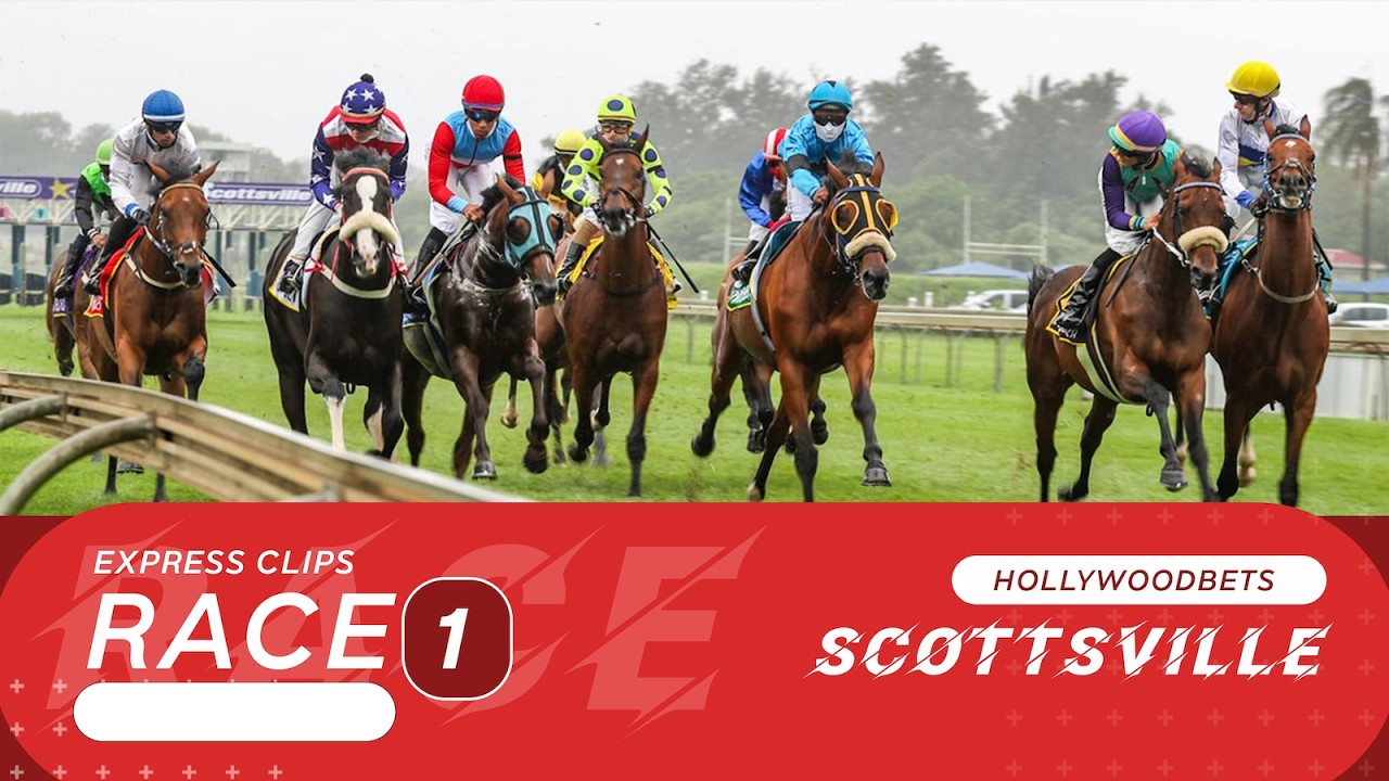 20260311 Hollywoodbets Scottsville Race 1 выиграл KAZENOYONI