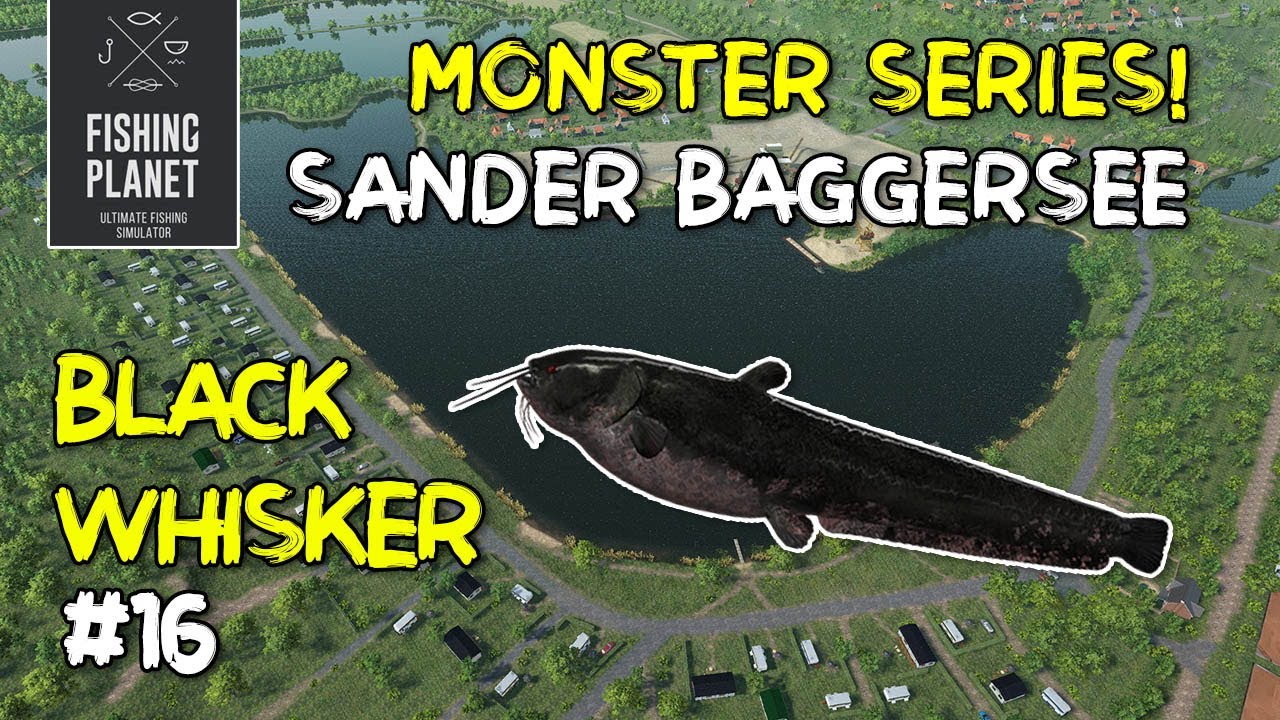 FISHING PLANET - MONSTER BLACK WHISKER | SANDER BAGGERSEE
