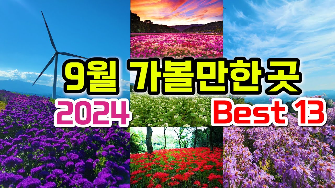 2024  9월에 가면 좋은 국내여행지 추천 BEST 13, 상림공원, 용궐산, 삼성궁, 소금산 그랜드밸리, 파도소리길, 스페이스워크, y자출렁다리, 내연산계곡, 선운사, 봉평메밀