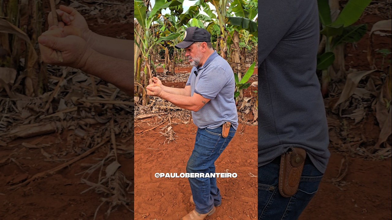 ACHANDO &Aacute;GUA COM GALHO DE GOIABA