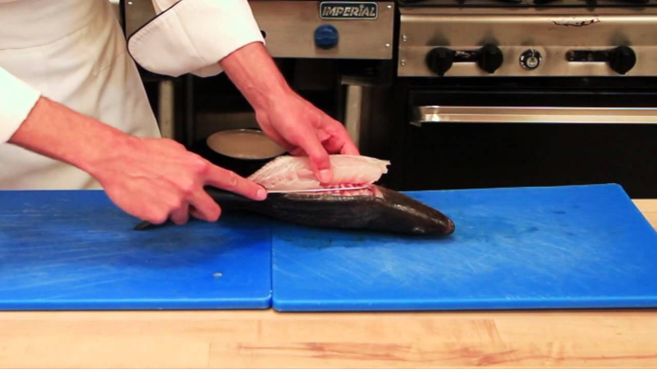 How to Fillet a Round Fish