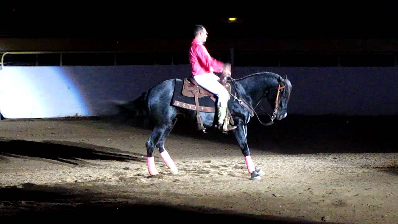 Aaron Ralston 2013 RAM Invitational Freestyle Reining at National Western Stock Show