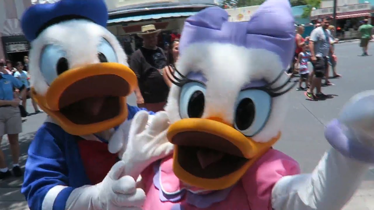 Disney Characters get excited to see me! Plus Answering Hollywood Studios Rumors