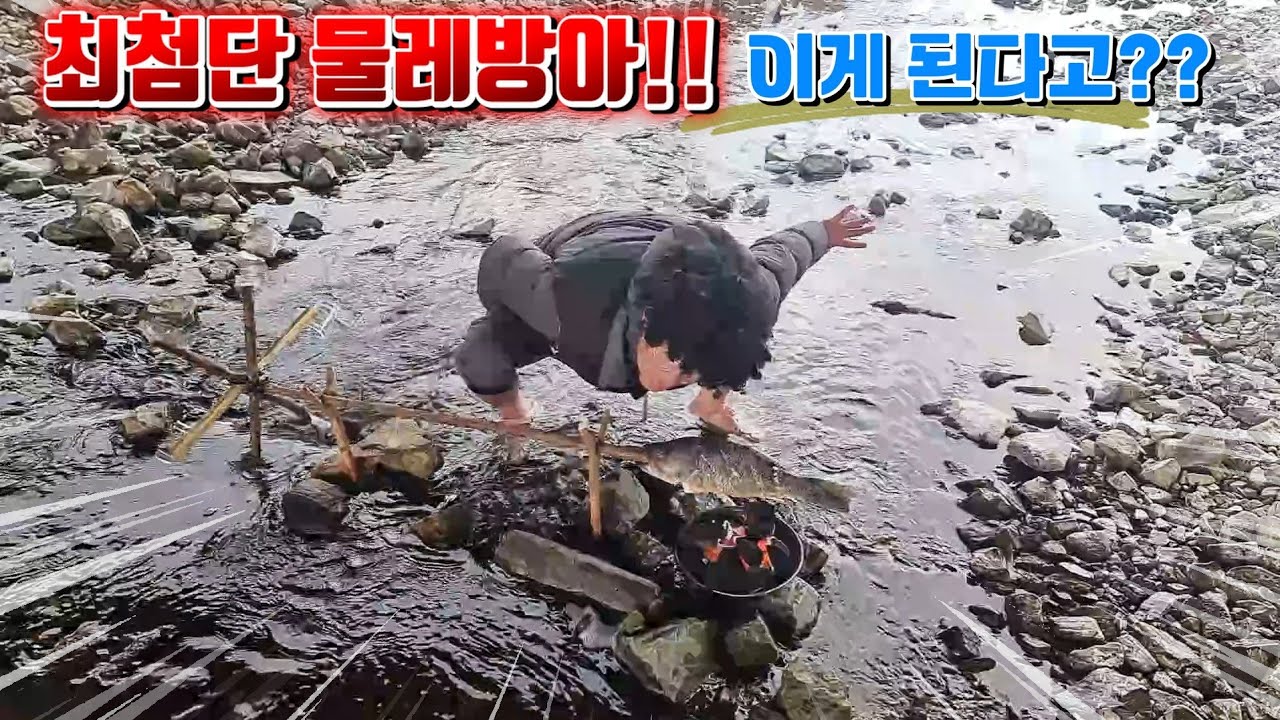 생태계교란종 요리에 정성을 더했더니 그 맛이!?