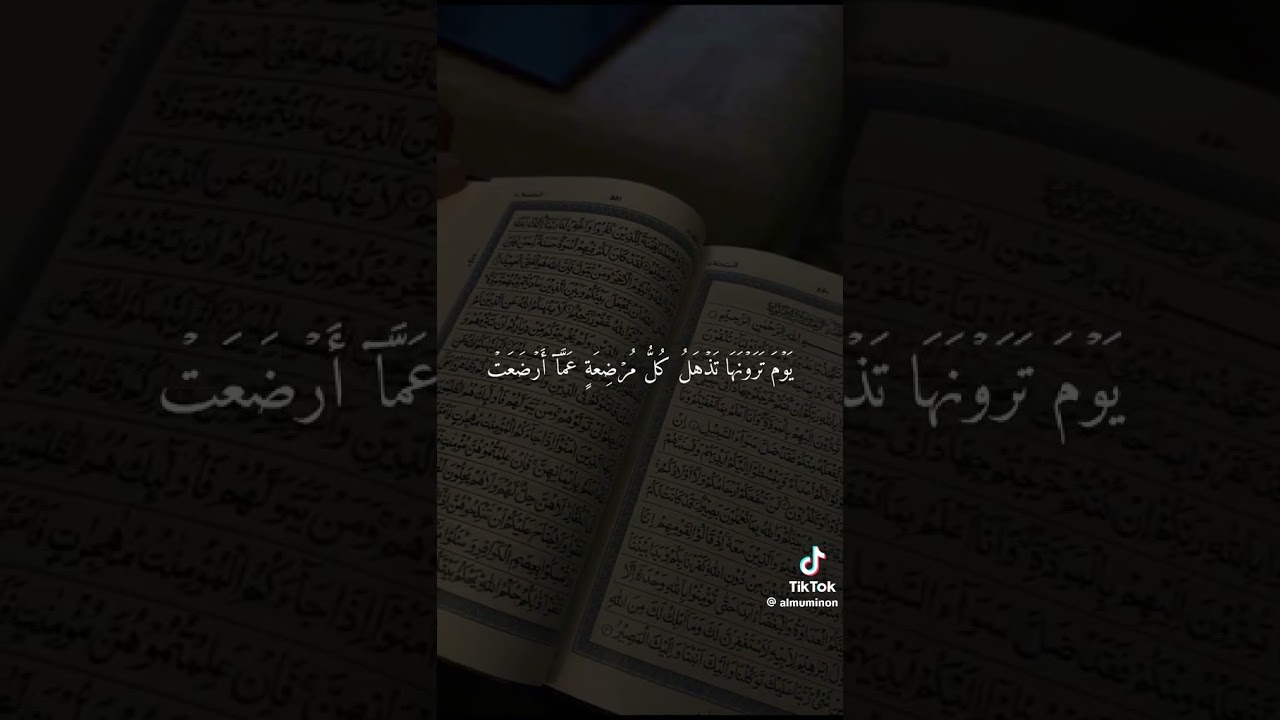 ي أيها الناس تقو ربكم