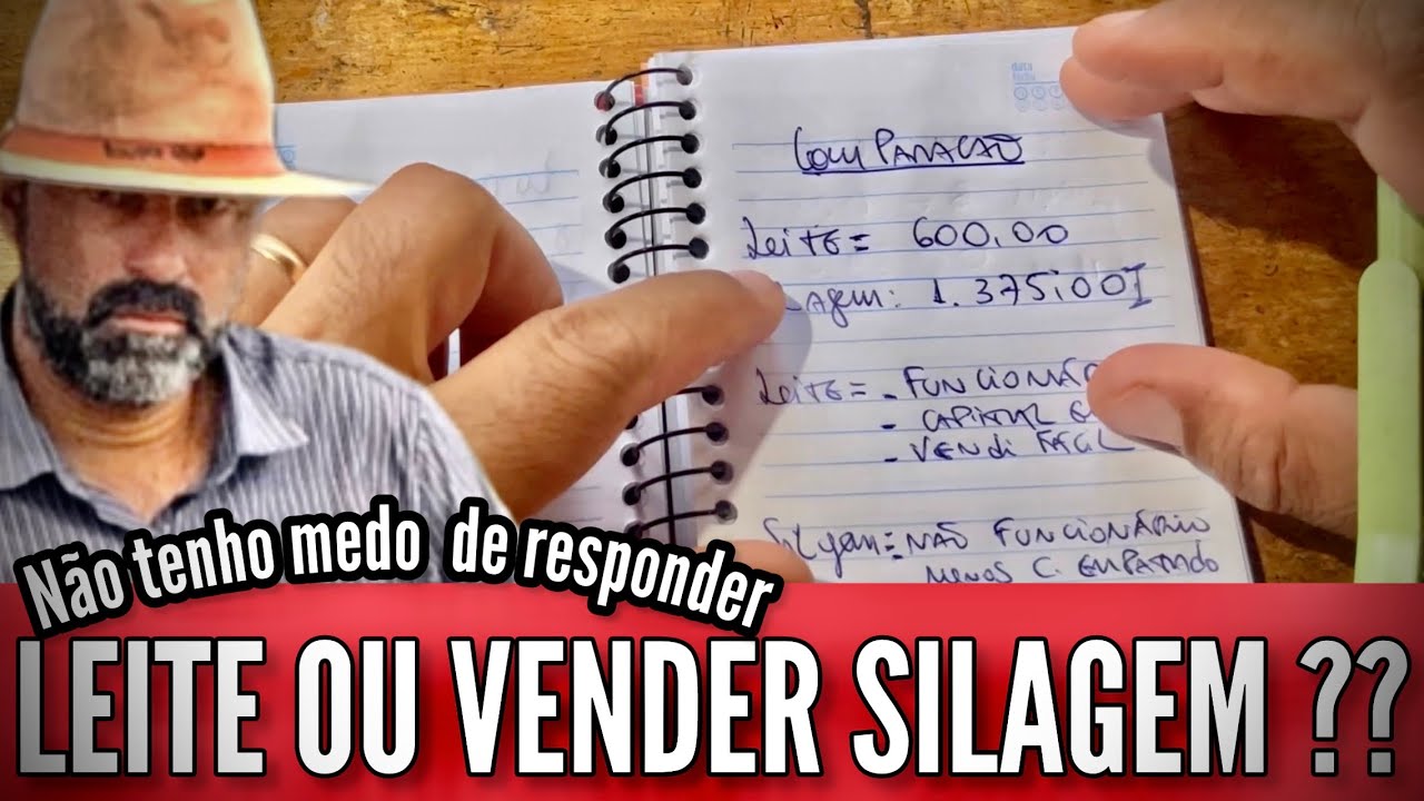 QUEM DA MAIS LUCRO ?? LEITE OU VENDA DE SILAGEM ?? EU RESPONDO.