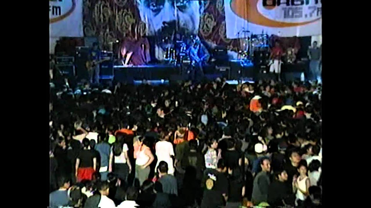PANDA ROCK CHAVITOS 4