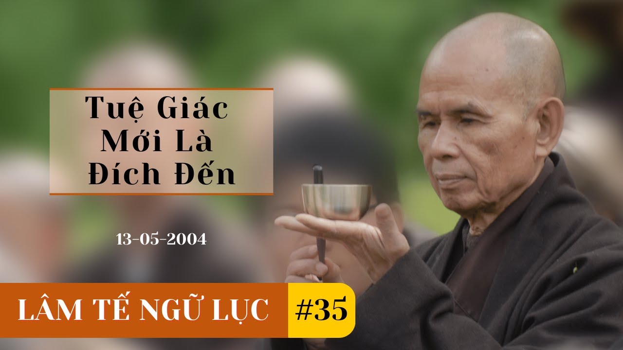 Tuệ Giác Mới Là Đích Đến [ Lâm Tế Ngữ Lục 35] TS THích Nhất Hạnh( 13-05-2004, Xóm Mới, Làng Mai)