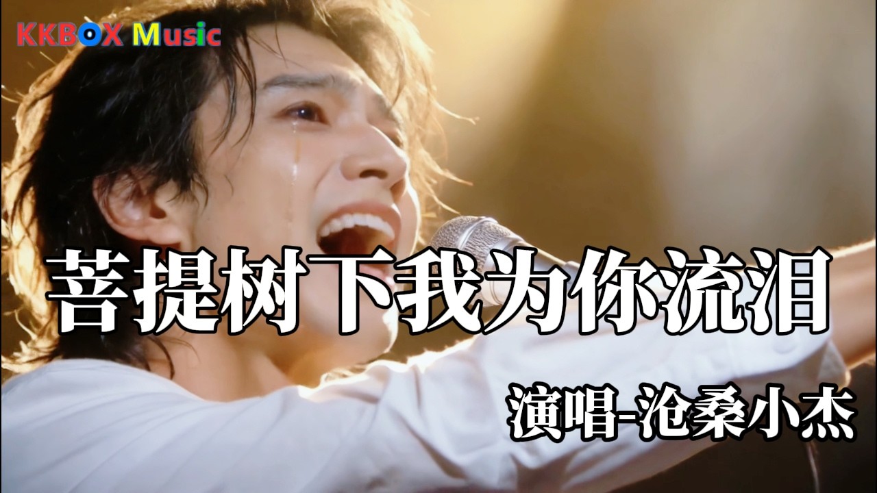 沧桑小杰 - 菩提树下我为你流泪『菩提树下我为你流泪，求佛赐我一杯忘情水。』 Super good MV|#歌曲 #翻唱| ’『動態歌詞MV’』KKBOX Music